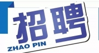 岱岳區(qū)政務(wù)服務(wù)中心招人啦！大專以上學(xué)歷，即日起報(bào)名